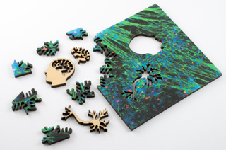 Illustration for article titled Explore the Microscopic World With These Gorgeous Scientific Puzzles
